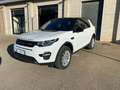 Land Rover Discovery Sport 2.0 td4 SE Business ed. Premium awd 150cv auto Bianco - thumbnail 2