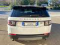 Land Rover Discovery Sport 2.0 td4 SE Business ed. Premium awd 150cv auto Bianco - thumbnail 8