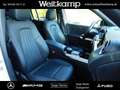Mercedes-Benz GLB 220 GLB 220 d 4M AHK+PANO+STHZ+HEAD-UP+360°+DISTRO. Weiß - thumbnail 4