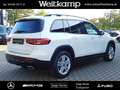 Mercedes-Benz GLB 220 GLB 220 d 4M AHK+PANO+STHZ+HEAD-UP+360°+DISTRO. Weiß - thumbnail 6