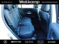 Mercedes-Benz GLB 220 GLB 220 d 4M AHK+PANO+STHZ+HEAD-UP+360°+DISTRO. Weiß - thumbnail 5