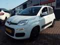 Fiat Panda TwinAir 65PK Edizione Cool Blanc - thumbnail 3