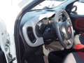 Fiat Panda TwinAir 65PK Edizione Cool Blanc - thumbnail 14