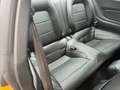 Ford Mustang GT Fastback 5.0 Ti-VCT V8 Aut. Navi, Leder, B&O Orange - thumbnail 14