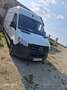 Mercedes-Benz Sprinter Sprinter Tourer 211 CDI 3,5t / 3.665 mm Weiß - thumbnail 1