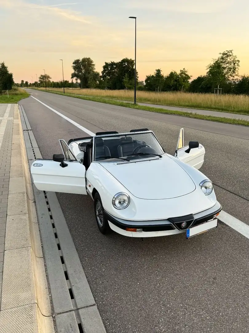 Alfa Romeo Spider 2,0 original 53886 Kilometer !!! Weiß - 2