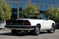 Alfa Romeo Spider 2,0 original 53886  Kilometer !!! Wit - thumbnail 3