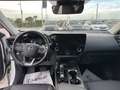 Lexus NX 300 Plug-in 4WD Premium Blanc - thumbnail 9