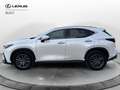 Lexus NX 300 Plug-in 4WD Premium Blanc - thumbnail 2