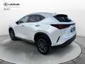 Lexus NX 300 Plug-in 4WD Premium Blanc - thumbnail 4