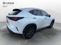Lexus NX 300 Plug-in 4WD Premium Blanc - thumbnail 3