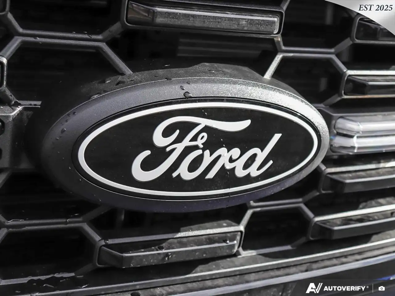 Ford F 150 fotografie Ford F 150