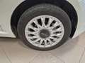 Fiat 500 500 1.2 Dolcevita easypower Gpl 69cv Bianco - thumbnail 15