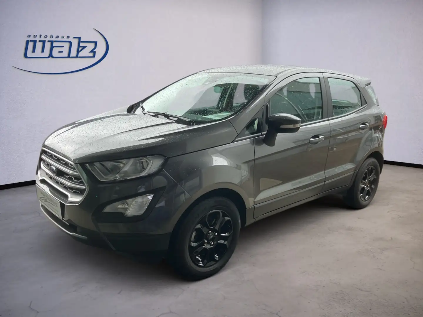 Ford EcoSport Cool & Connect 1.0i 100PS, Winterpaket,Alu, PDC Grau - 1