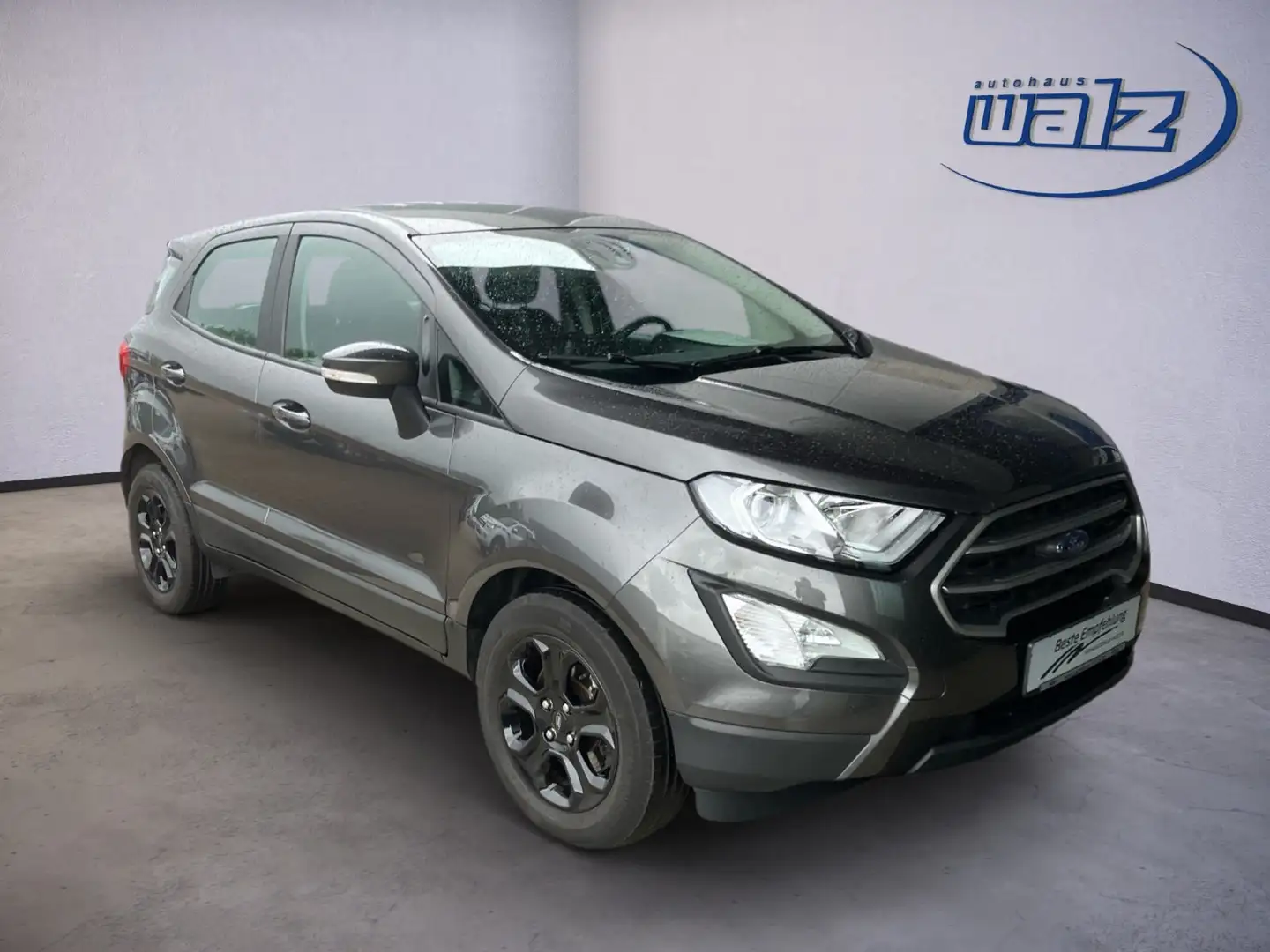 Ford EcoSport Cool & Connect 1.0i 100PS, Winterpaket,Alu, PDC Grau - 2