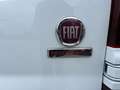 Fiat Talento Talento L2H1 3,0t 1,6 MultiJet 120 Basis Blanc - thumbnail 23