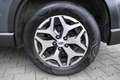 Subaru Forester 2.0ie COMFORT*4X4*AHK*NAVI*WERKSGARANTIE*MWST AUSW Grau - thumbnail 13