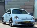 Volkswagen Beetle 2,0 TDI Design DSG Blau - thumbnail 1