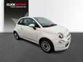 Fiat 500 1.0 Hybrid 70CV Club Weiß - thumbnail 3