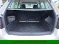 Skoda Fabia 1.0 TSI Combi*Klima*LED*PDC*Bluetooth* Wit - thumbnail 8