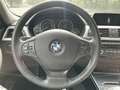 BMW 318 318d Business Advantage Automatica Сірий - thumbnail 20
