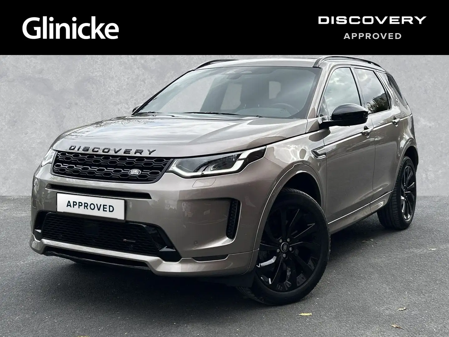 Land Rover Discovery Sport D200 AWD R-Dynamic SE AHK Elekt. Gold - 1