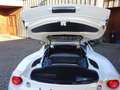 Lotus Evora Evora S 2+2, IPS, Vollausstattung, unfallfrei, 2 Hd., TOP !! Weiß - thumbnail 20