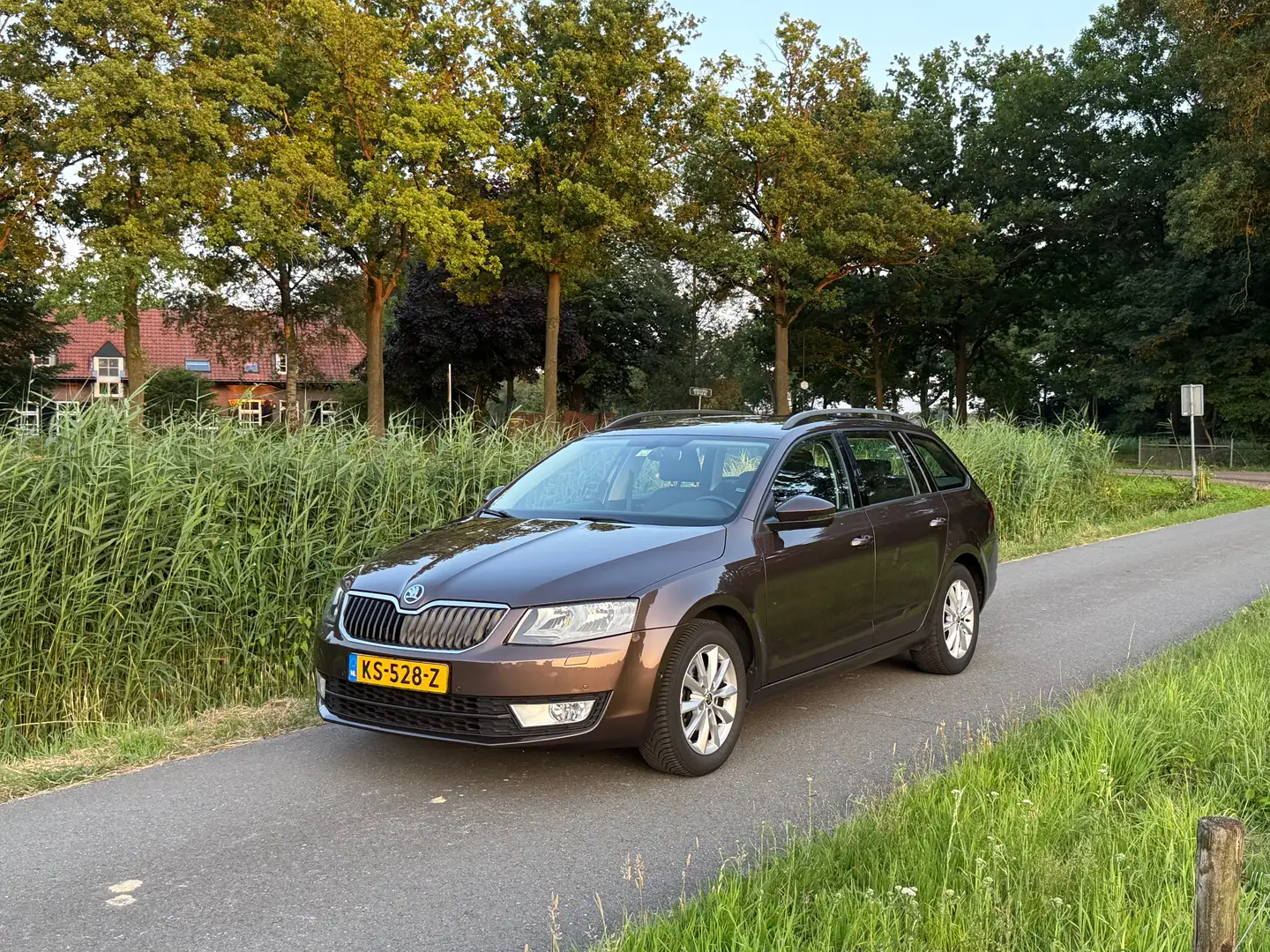 Skoda Octavia Octavia 1.0 TSI Grt Amb Bns Brun - 1
