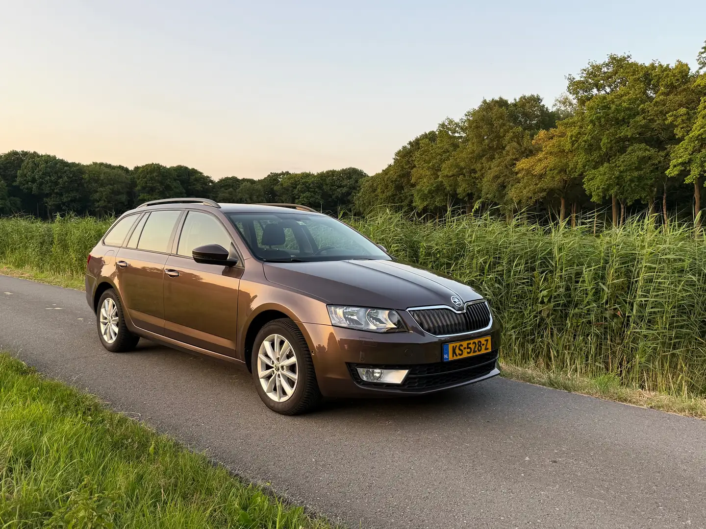 Skoda Octavia Octavia 1.0 TSI Grt Amb Bns Brun - 2
