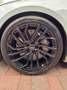 Audi RS5 2.9 TFSI quattro Audi Garantie Grau - thumbnail 8