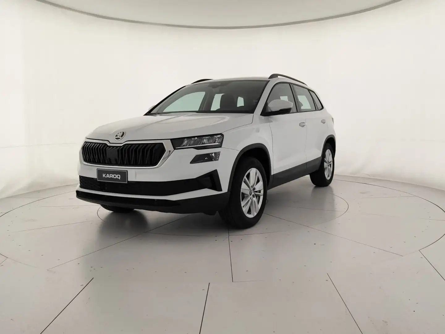 Skoda Karoq 2.0 tdi evo scr 150cv selection 4x4 dsg - 1
