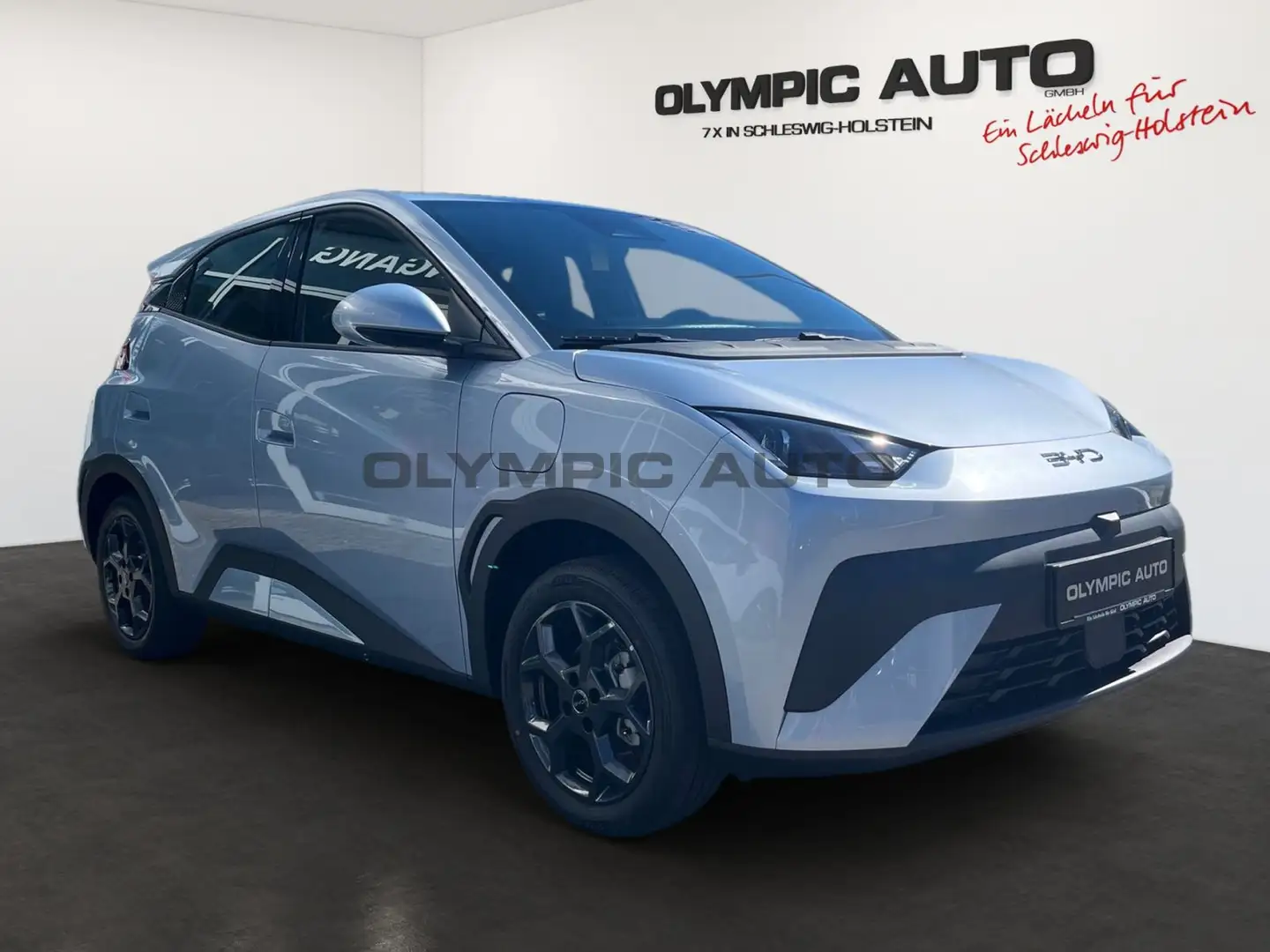 BYD Dolphin Dolphin Surf Boost 43kWh KAMERA CARPLAY NAVI ALU Blau - 2