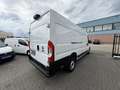Fiat Ducato 35 2.3 MultiJet L4H2 AUTOMAAT CARPLAY CAMERA EURO- Blanc - thumbnail 18