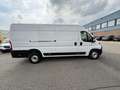 Fiat Ducato 35 2.3 MultiJet L4H2 AUTOMAAT CARPLAY CAMERA EURO- Blanc - thumbnail 3
