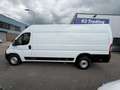 Fiat Ducato 35 2.3 MultiJet L4H2 AUTOMAAT CARPLAY CAMERA EURO- Blanc - thumbnail 2