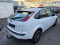 Ford Focus Trend 1,6 TDCi *EXPORT* Negro - thumbnail 5