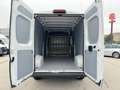 Fiat Ducato L3H2 KW 35 MAXI *Preis inkl. NoVA* (=CAMPER-Basis) Weiß - thumbnail 5