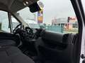 Fiat Ducato L3H2 KW 35 MAXI *Preis inkl. NoVA* (=CAMPER-Basis) Weiß - thumbnail 18