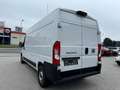 Fiat Ducato L3H2 KW 35 MAXI *Preis inkl. NoVA* (=CAMPER-Basis) Weiß - thumbnail 3