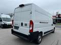 Fiat Ducato L3H2 KW 35 MAXI *Preis inkl. NoVA* (=CAMPER-Basis) Weiß - thumbnail 7