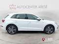Audi Q5 35 TDI quattro S tronic Business-garanzia-3-anni White - thumbnail 7