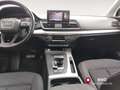 Audi Q5 35 TDI quattro S tronic Business-garanzia-3-anni White - thumbnail 11