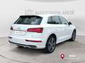 Audi Q5 35 TDI quattro S tronic Business-garanzia-3-anni White - thumbnail 6