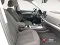 Audi Q5 35 TDI quattro S tronic Business-garanzia-3-anni White - thumbnail 16