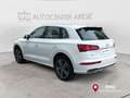 Audi Q5 35 TDI quattro S tronic Business-garanzia-3-anni White - thumbnail 3