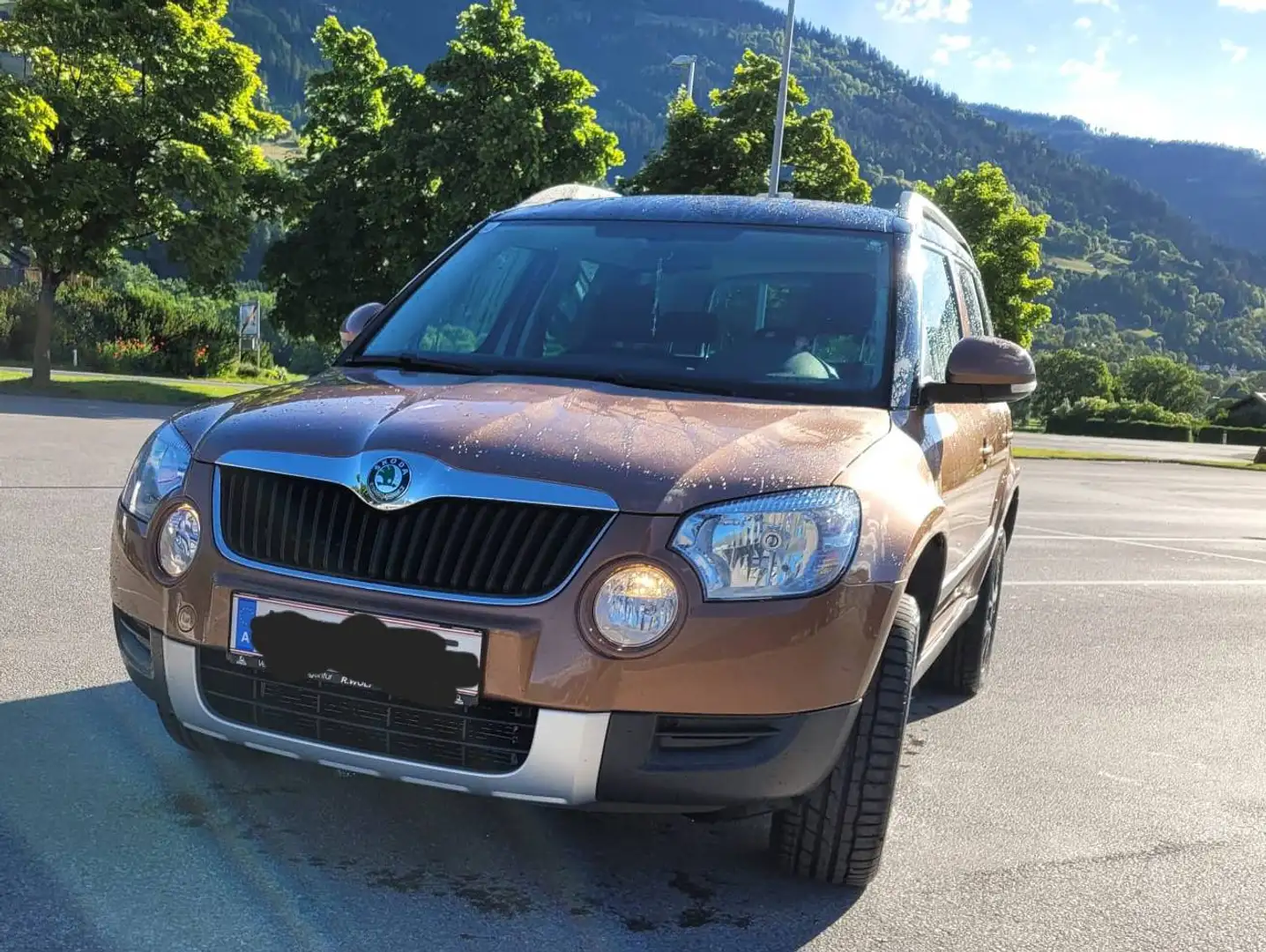 Skoda Yeti Yeti 4x4 Twenty Active 2,0 TDI CR DPF Twenty Active Braun - 2
