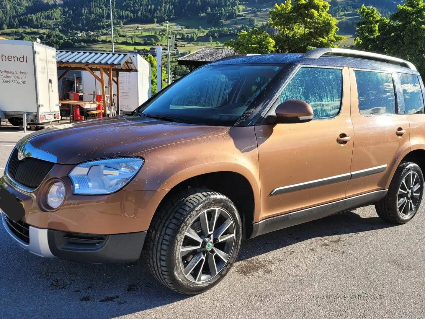 Skoda Yeti Yeti 4x4 Twenty Active 2,0 TDI CR DPF Twenty Active Braun - 1