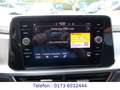 Volkswagen T-Roc 1.0 TSI OPF Life Grau - thumbnail 16