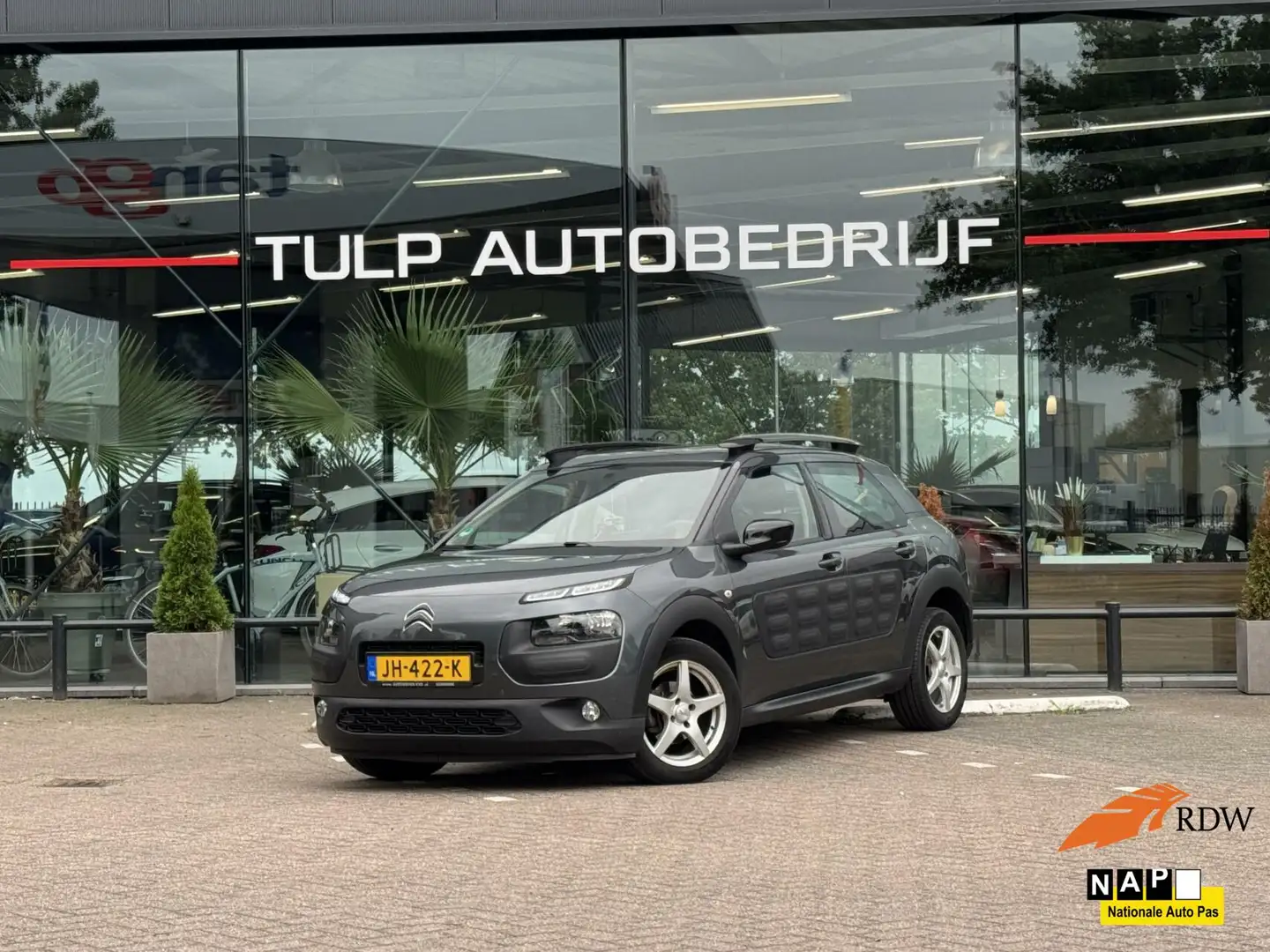 Citroen C4 Cactus 1.2 PureTech Feel 2016 Carplay dealer ondh Gri - 1