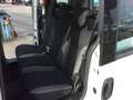 Fiat Doblo 1.6 mtj 105 CV FAMILY CON 5 POSTI VETTURA Blanc - thumbnail 9